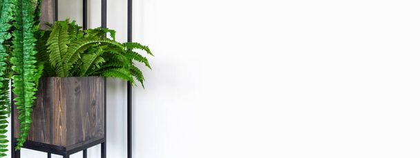 Una pianta d'appartamento verde in una pentola di legno marrone su un supporto metallico in stile loft
 - Foto, immagini