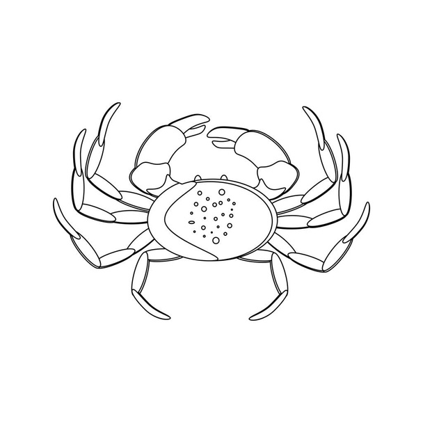 Krabben Meeresfrüchte Vektor Illustration Umriss auf dem weißen Hintergrund. Vektorillustration - Vektor, Bild