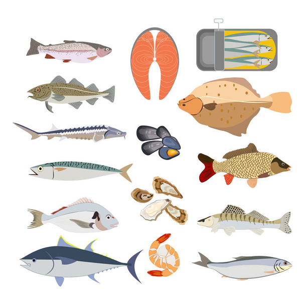 Illustration der Fischtypen auf dem weißen Hintergrund. Vektorillustration - Vektor, Bild