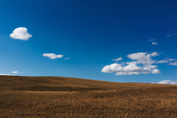 Scenic View Of Field Against Sky. - Fotoğraf, Görsel