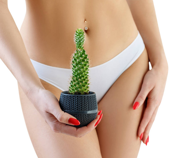 Woman holds a green cactus over her white panties background. - Photo, Image