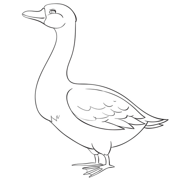 goose drawn in outline, coloring, isolated object on a white background, farm, vector illustration, - Vektor, kép