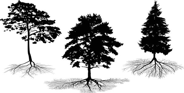 τρεις δέντρο σιλουέτες με ρίζες - Διάνυσμα, εικόνα