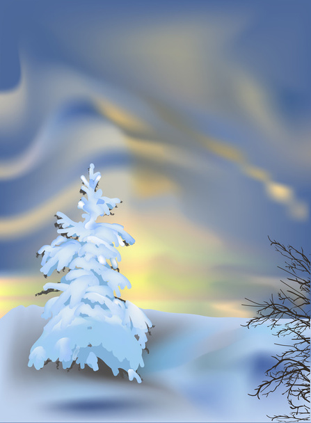 fenyő, fehér hóban-aurora borealis: - Vektor, kép