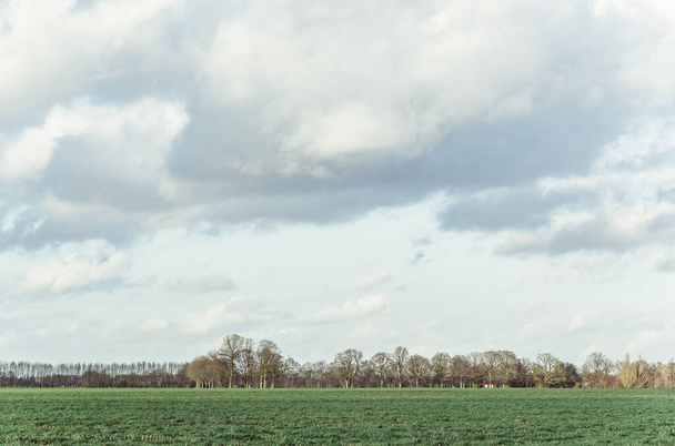 Pradera en el campo con cielo nublado en invierno
. - Foto, imagen