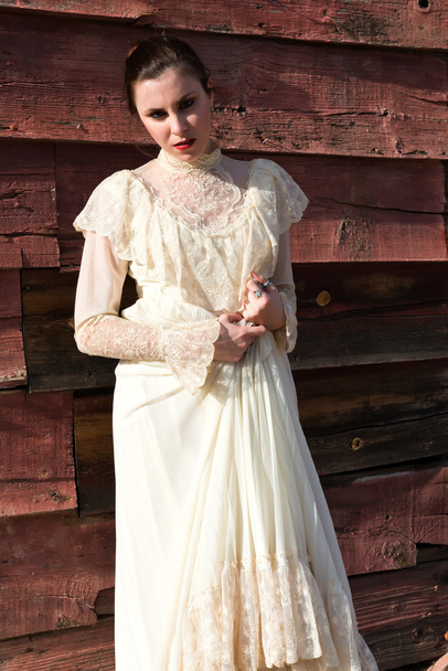 viktoriánské šaty - Fotografie, Obrázek