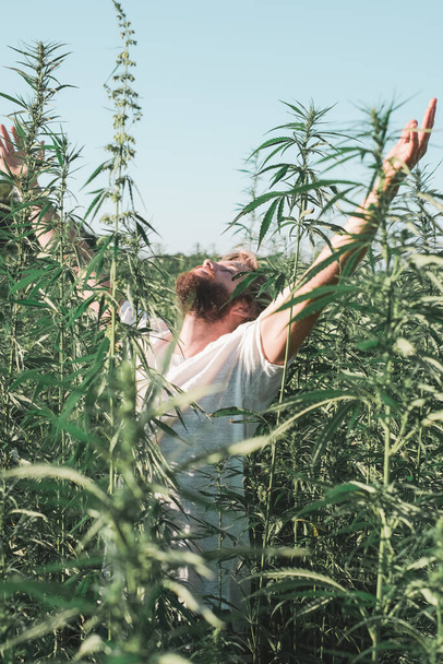 Young man with a long hair and bread in the middle of a hemp field - Photo, Image