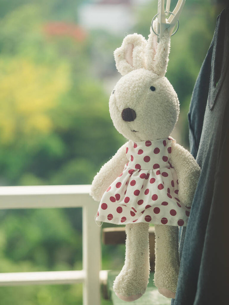 Una bambola di coniglio appesa alla clothesline, una bambola di coniglio che indossa un abito a pois
 - Foto, immagini