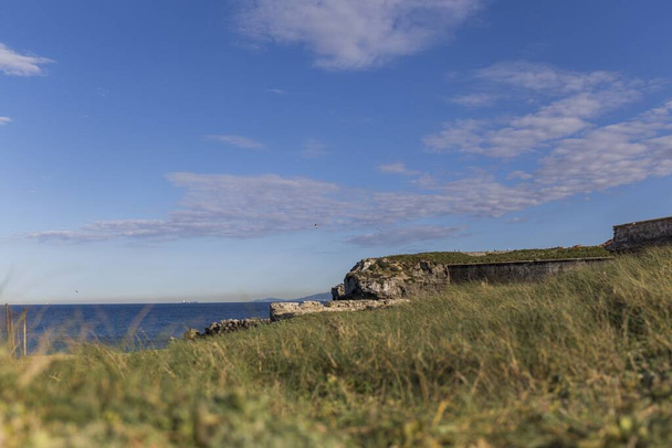 from a hill with green grass we see a coastal landscape, calm blue sea, clear sky - Zdjęcie, obraz