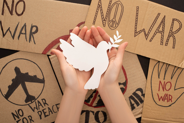 cropped view of woman holding white dove above no war placards on black background - Photo, Image