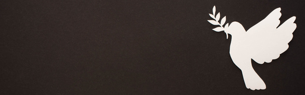白い紙が黒い背景に飛び込みパノラマで撮影されました - 写真・画像