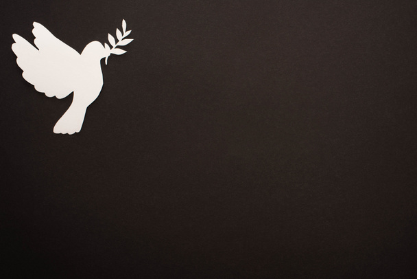 top view of white paper cut dove on black background - Photo, Image