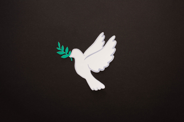 黒の背景に平和の象徴として白い鳩が描かれています ロイヤリティフリー写真 画像素材