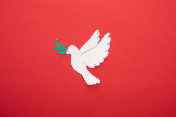 верхний вид белого голубя как символ мира на красном фоне
 - Фото, изображение
