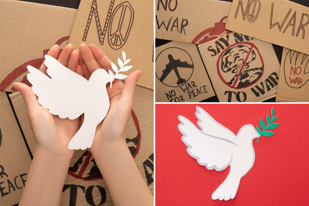 collage de mains féminines, plaques en carton sans lettrage de guerre et colombe en papier blanc sur fond rouge
 - Photo, image