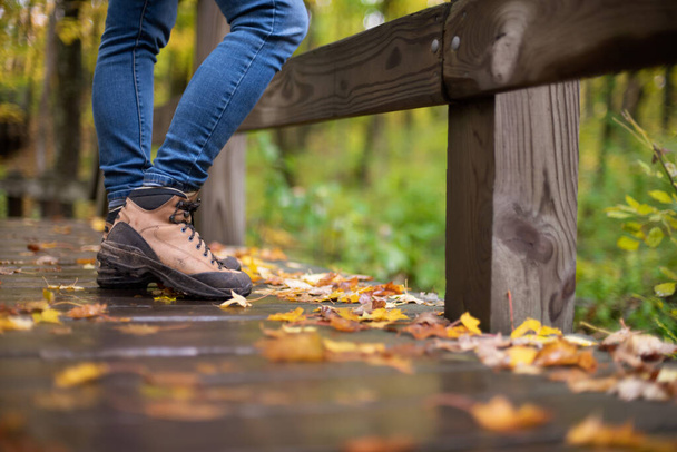 gros plan de bottes de randonnée dans les bois d'automne
 - Photo, image