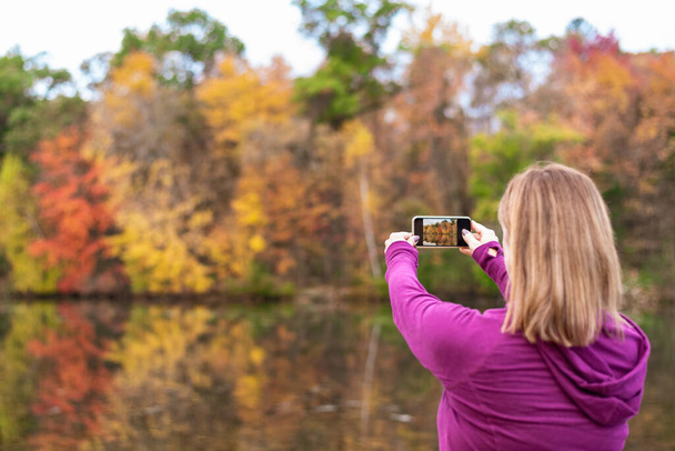 mujer sosteniendo teléfono inteligente tomando fotos de hojas de otoño de colores en Wisconsin en otoño
 - Foto, imagen