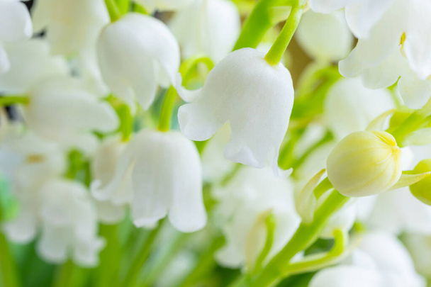 Lily of the valley close-up, detailed bright macro photo. Soft focus. The concept of spring, may, summer. Floral background - Photo, Image