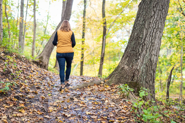 zadní pohled na osobu procházky v lese na podzim s barevnými listy na zemi - Fotografie, Obrázek