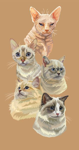 Vektorový svislý plakát s různými kočkami plemene portréty izolované na béžovém pozadí. Kočky vektorové vintage ilustrace v realistickém stylu.Obrázek pro design, karty a tetování. Stock illustration  - Vektor, obrázek
