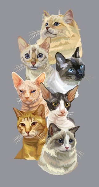 Vector verticaal affiche met verschillende katten rassen portretten geïsoleerd op grijze achtergrond. Katten vector vintage illustratie in realistische stijl.Afbeelding voor ontwerp, kaarten en tatoeage. Voorraadillustratie  - Vector, afbeelding