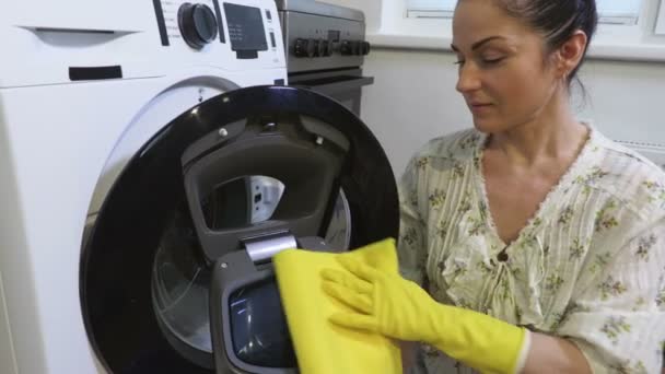 Happy Woman, casalinga che pulisce la lavatrice a casa - Filmati, video