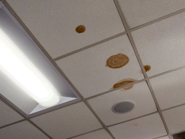 Watervlekken op het plafond - Foto, afbeelding