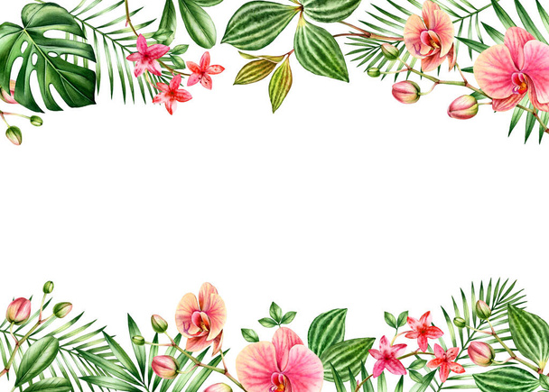 Watercolor floral background. Horizontal frame with place for text. Floral borders on top and bottom. Red orchid flowers and palm, monstera leaves. Botanical tropical illustrations isolated on white - Foto, Imagem