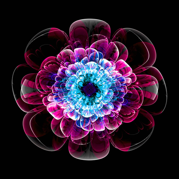 Flor cristalina transparente fractal - Arte fractal
   - Foto, imagen