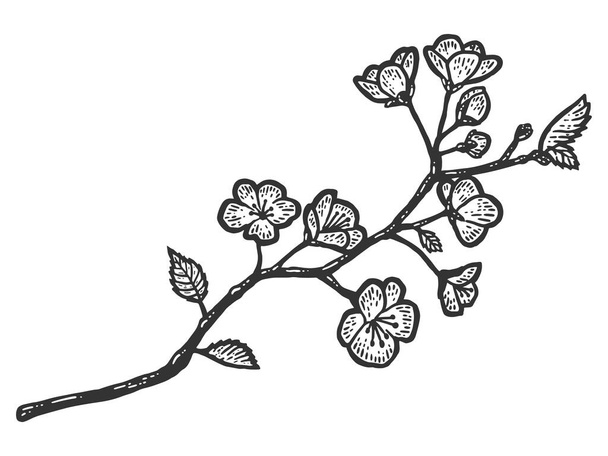 Una rama de flores de cerezo. Boceto imitación tablero de rasca. - Foto, Imagen