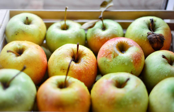 Sappige rijpe appels. Rood-groene appels worden netjes op een rij gestapeld. Vruchten in een houten doos. - Foto, afbeelding