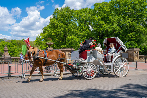 New York, USA. May 20, 2019. A horse and buggy carriage with coachman in Central Park in New York City. The carriage rides are in danger of being banned for animal safety issues. - Photo, Image