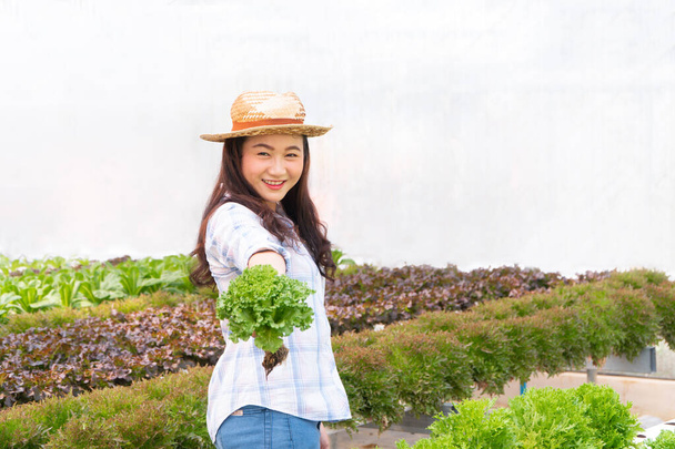 Mujer agricultora asiática sosteniendo ensalada de verduras crudas para comprobar la calidad en el sistema de granja hidropónica en invernadero. Concepto de alimentos ecológicos - Foto, imagen
