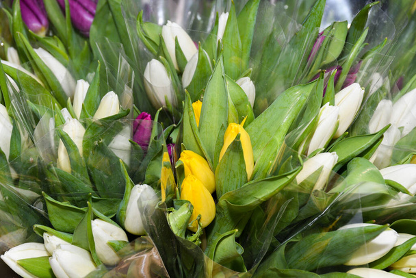 Flowers for sale at the marketplace. White, yellow, purple tulips. Spring concept celebration - Fotografie, Obrázek