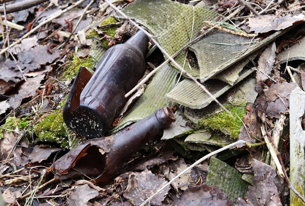 ecology problems. broken glass bottles in the forest, in nature. - Photo, Image