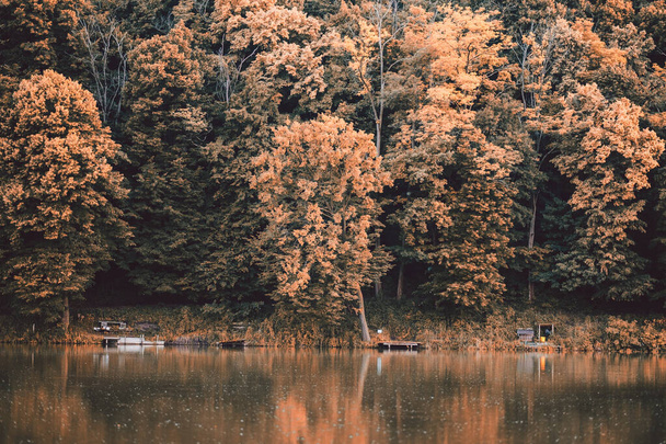 paesaggio autunnale con lago e alberi - Foto, immagini