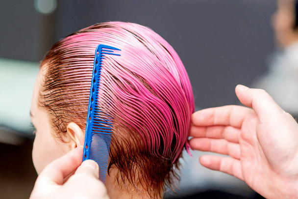 Hands of hairdresser are combing pink hair of woman, close up. - Photo, Image