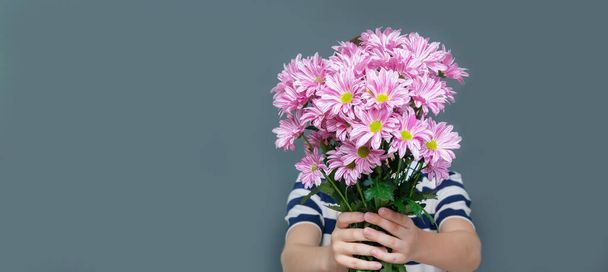 A young teenager in a striped t-shirt holding a bouquet of beautiful chrysanthemums covering his face. Isolated gray background, copy space, greeting card for grandmas Day, womens day. Banner. - 写真・画像