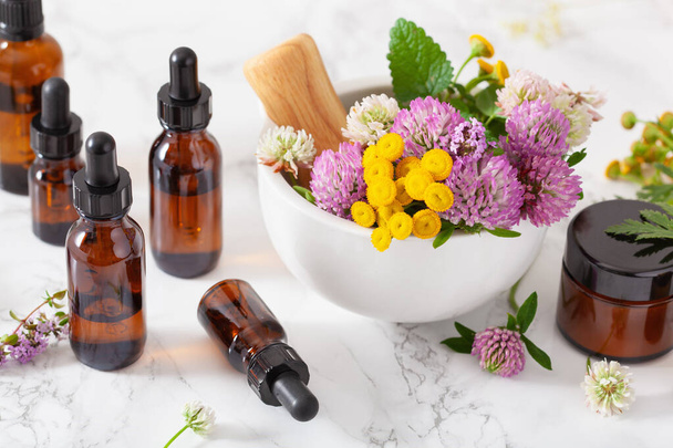 medical flowers herbs in mortar essential oils in bottles. alternative medicine. clover milfoil tansy rosebay - Photo, Image