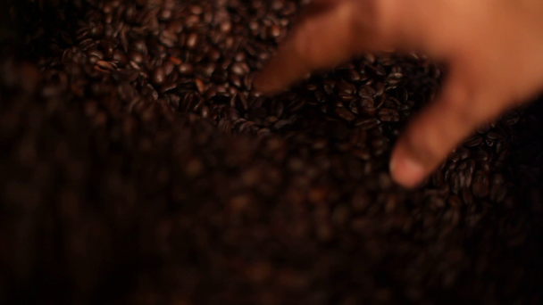 φρυγμένοι κόκκοι καφέ - Πλάνα, βίντεο