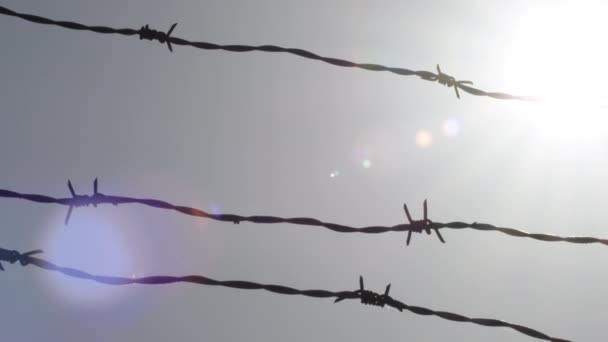 Sun shining at sunset in barbed wire fence - Footage, Video