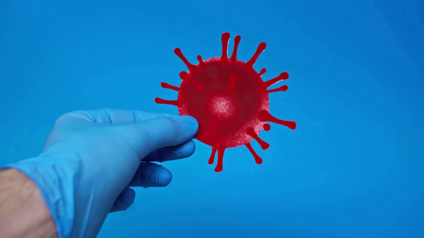 ブルーに隔離されたコロナウイルス菌を保持しているラテックス手袋の男のクロップドビュー - 映像、動画