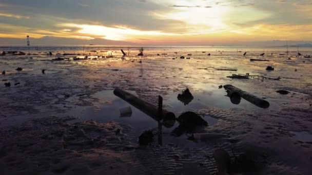 太陽の下で海岸に捨てられたゴミの方へ - 映像、動画