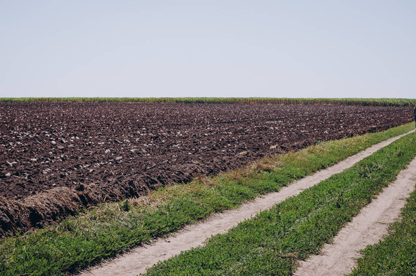 Black land for plant background. and dirt road in the field  - Photo, Image