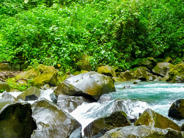 Водоспад Ла - Фортуна - де - Сан - Карлос, національний парк вулканів Аренал, Алахуела, Сан - Карлос, Коста - Рика. - Фото, зображення