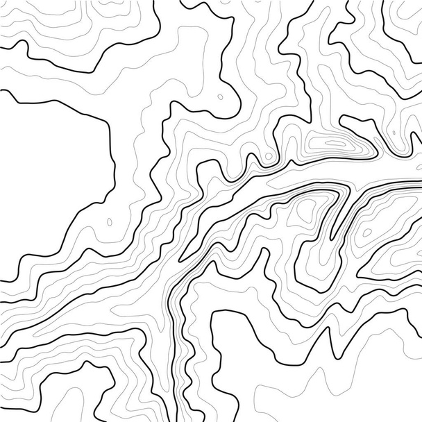 Topografische kaart contour achtergrond. Lijn topografische kaart contour achtergrond. Art design contour achtergrond. - Vector, afbeelding