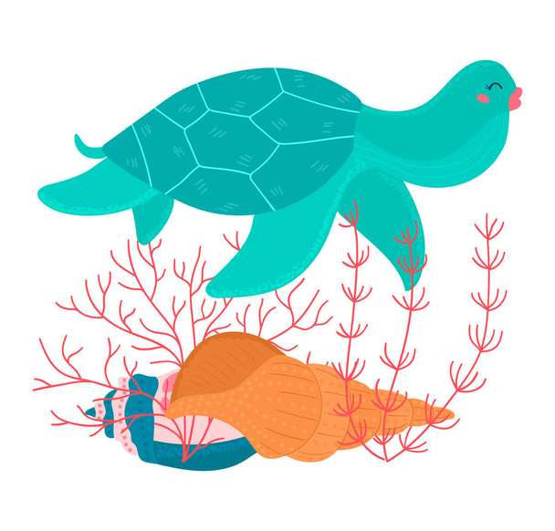 Cartoon tropical color turtle animal swims above seashell and seaweed underwater isolated on white, vector, illustration. - Вектор,изображение