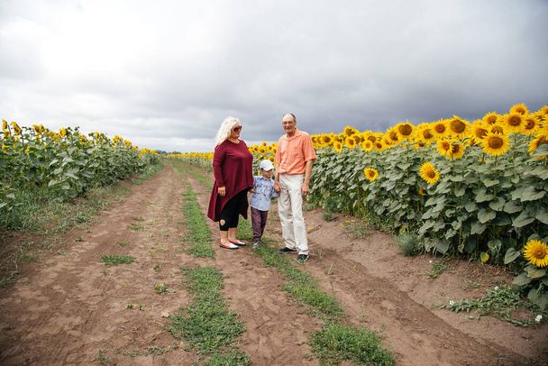 Grandparents spend time with their grandson in a field of sunflowers. Rural area, Russia. - Фото, изображение