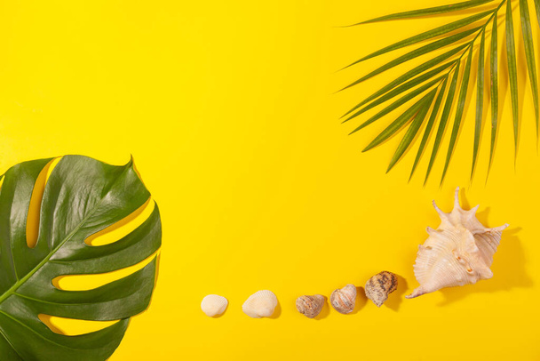 Top view on monstera and palm leaves with sea shells on yellow background. Concept of beach holiday, sea tour, warm sunny summer. Advertising space - Zdjęcie, obraz