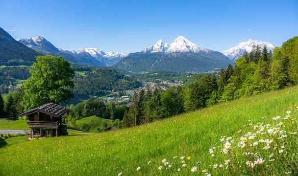 Klasszikus panoráma kilátás idilli hegyi táj Bajor Alpok gyönyörű színes virágok és híres hófödte Watzmann tavasszal, Nationalpark Berchtesgadener Land, Bajorország, Németország - Fotó, kép
